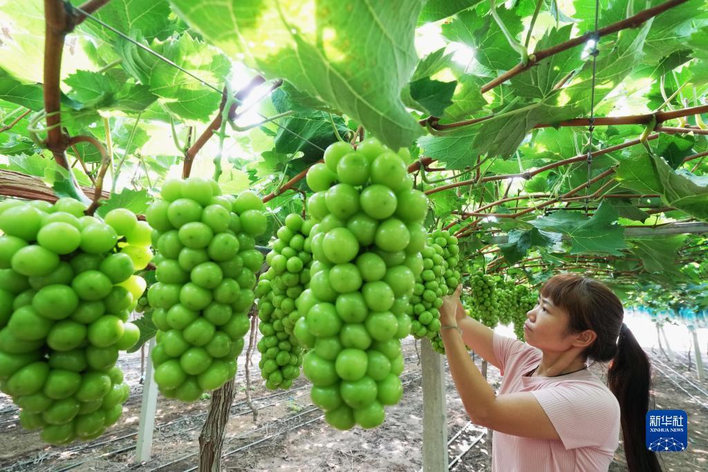 捕鱼10元入场